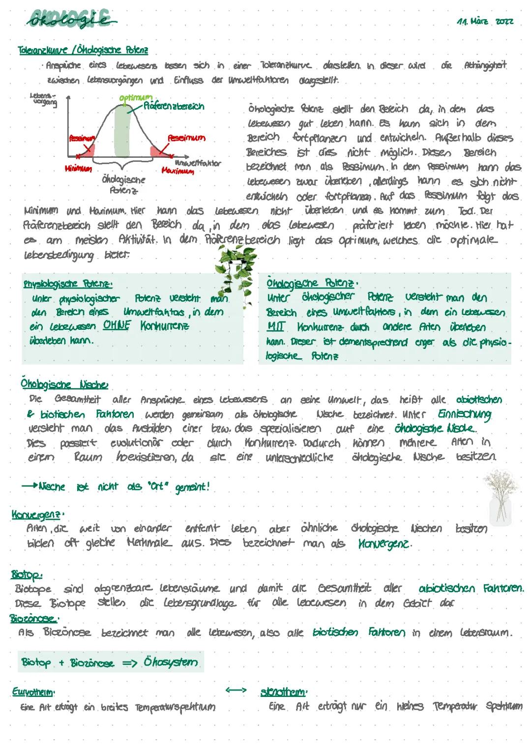 Einfach erklärt: Ökologische und Physiologische Potenz, Ökologische Nische, Biotische und Abiotische Faktoren