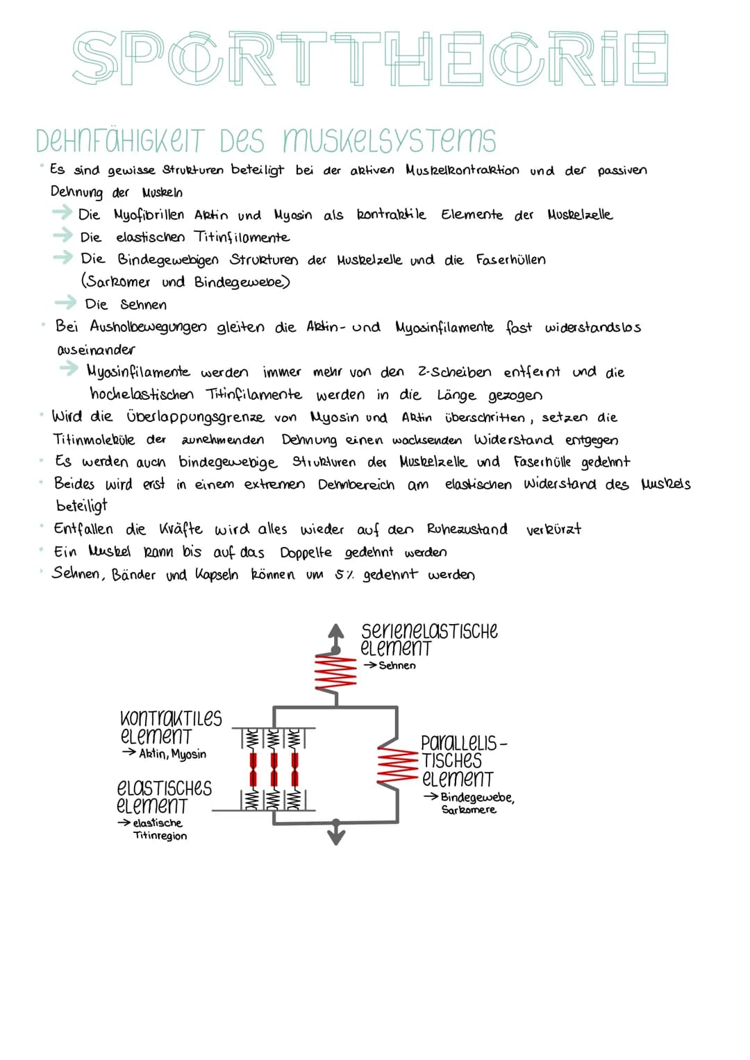 SPORTTHEORIE
SCHNELLIGKEIT:
Schnelligkeit ist die Fähigkeit des Nerv - Muskel-Systems, motorische Aktionen in einem
unter den gegebenen Bedi
