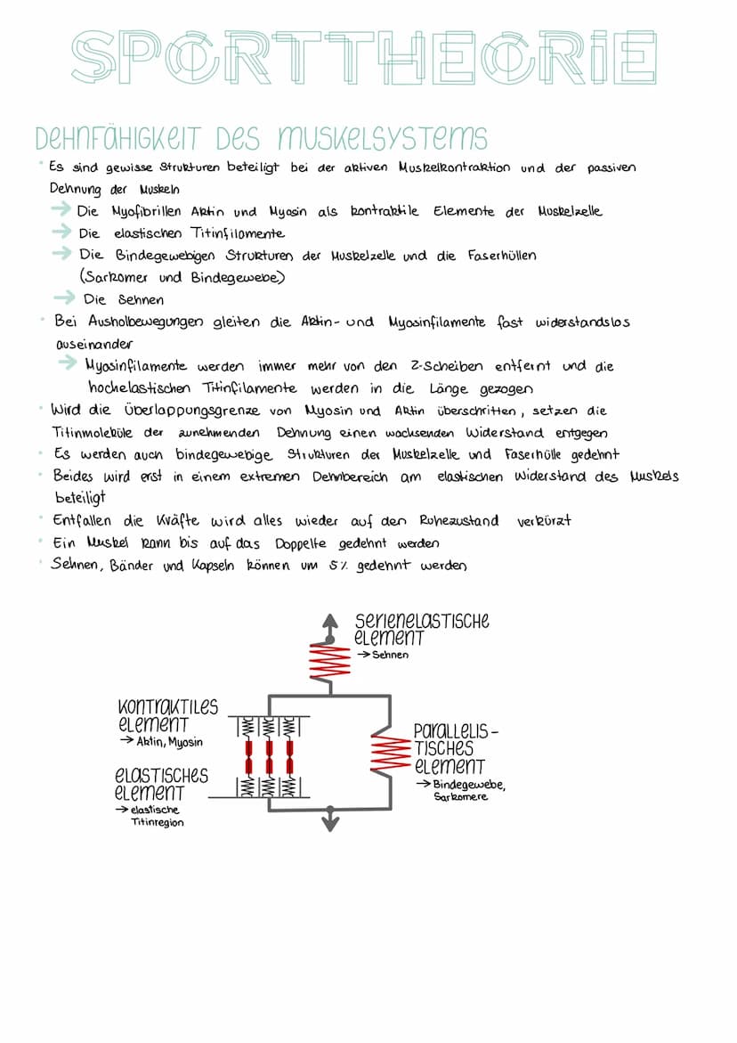 SPORTTHEORIE
SCHNELLIGKEIT:
Schnelligkeit ist die Fähigkeit des Nerv - Muskel-Systems, motorische Aktionen in einem
unter den gegebenen Bedi
