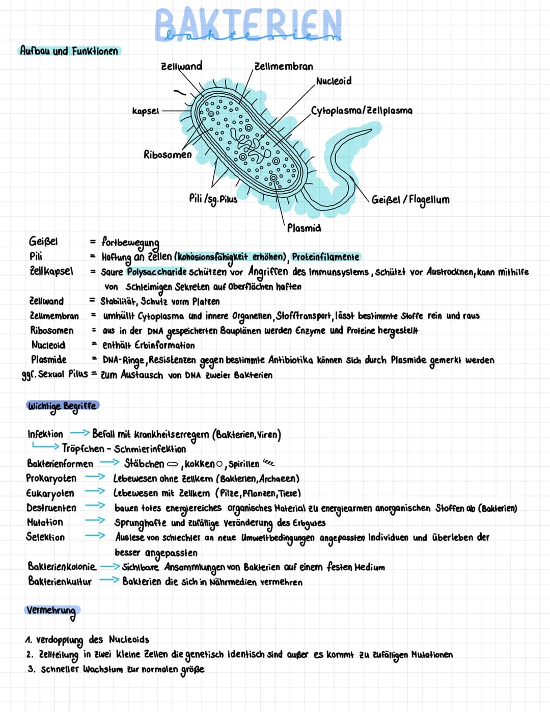 Aufbau und Funktionen
Geißel
Pili
Zell kapsel
=
=
Wichtige Begriffe
Infektion
Mutation
Selektion
BAKTERIEN
Bakterienformen.
Prokaryoten
Euka