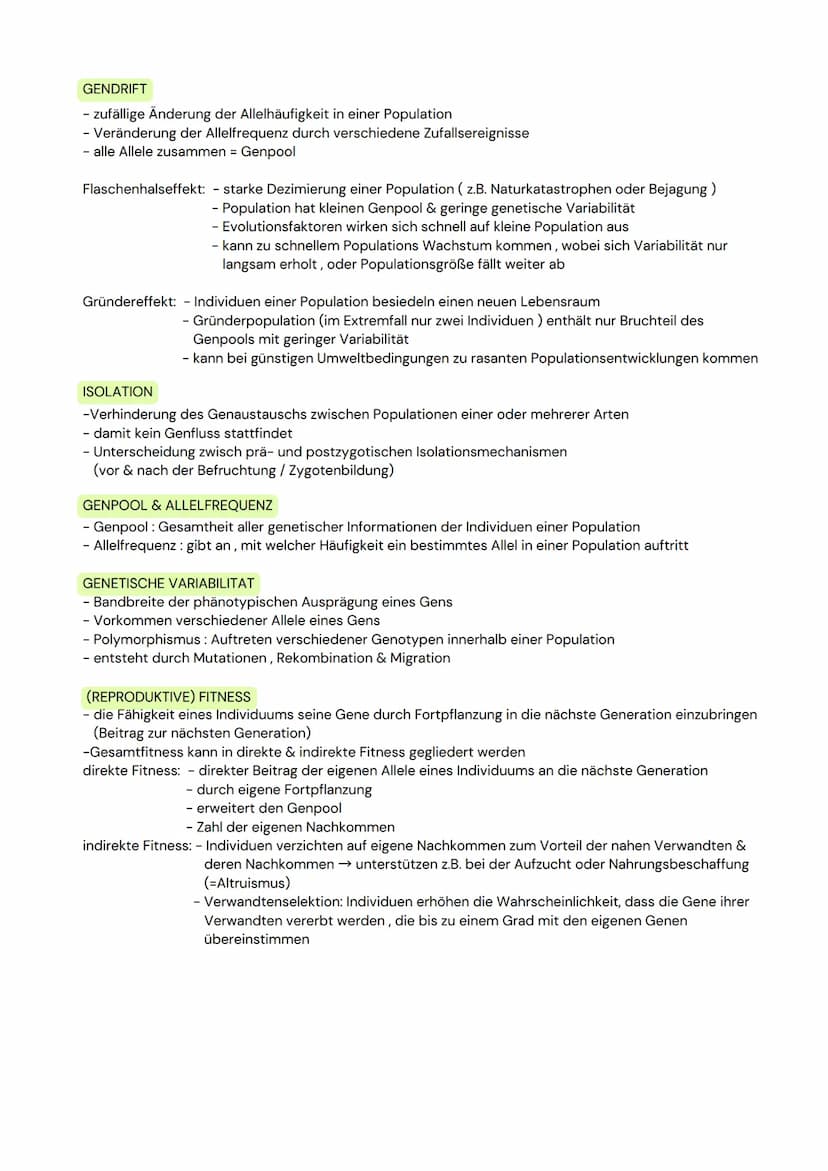 DAS NEURON
- Zellen, welche elektrische Erregungen erzeugen,
verarbeiten und weiterleiten
- 3 funktionelle Hauptgruppen:
Sensorische Neurone
