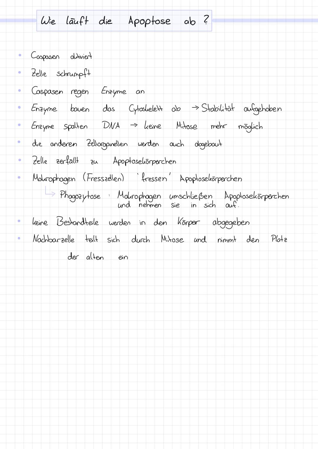•
●
Was
●
ist Apoptose ?
Kann
es
geben ?
auch
Apoptose Der (vor) programmierte Selbstmord
einer Zelle
• Wie läuft die Apoptose
Vergleich Apo