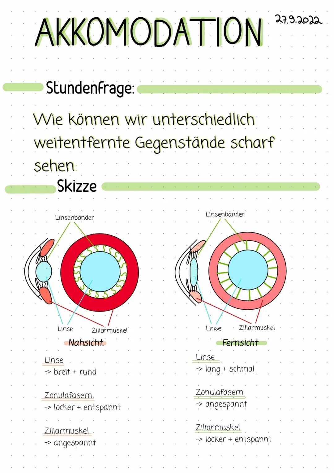 # AKKOMODATION 27.9.2022

Stundenfrage:

Wie können wir unterschiedlich
weitentfernte Gegenstände scharf
sehen

Skizze

Linsenbänder

Linsen