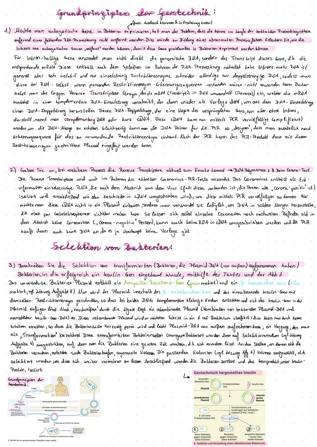 Restriktionsenzyme als mole bullar biologische Werkzeuge:
1.) Erklären Sie, was die Schere", der Kleber " & "klebrige. Enden." (sticky ends)