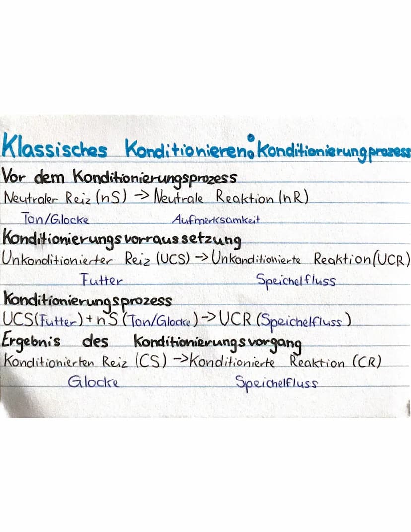 Klassische Konditionierung
Unkonditionierter und neutraler Stimulus -> gekoppelt
Nach dem Konditionierungsprozess
• Neutraler Stimulus löst 