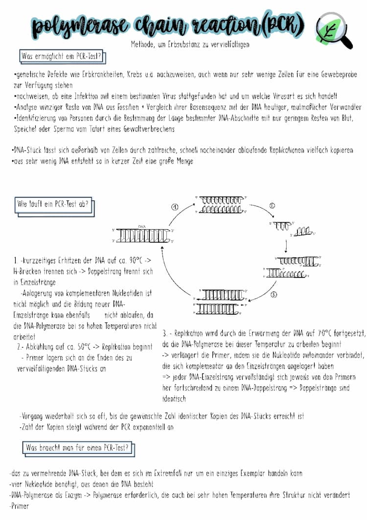 Know Angewandte Biologie thumbnail