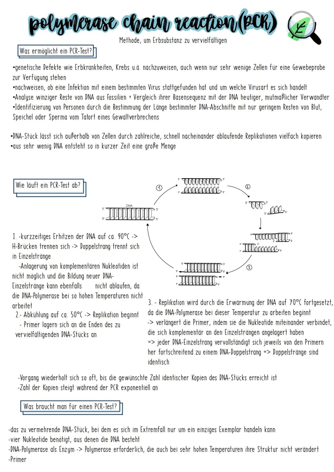 polymerase chain reaction (PCR)
Methode, um Erbsubstanz zu vervielfältigen
Was ermöglicht ein PCR-Test?
genetische Defekte wie Erbkrankheite