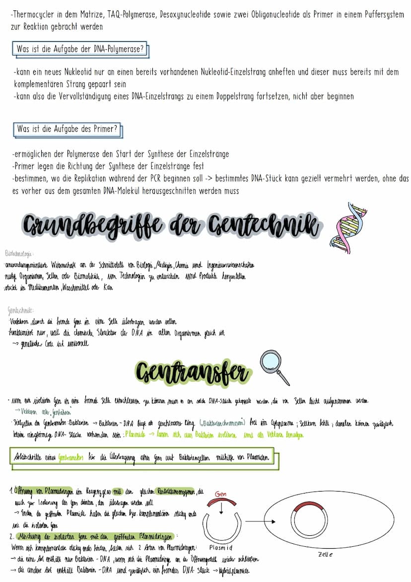 polymerase chain reaction (PCR)
Methode, um Erbsubstanz zu vervielfältigen
Was ermöglicht ein PCR-Test?
genetische Defekte wie Erbkrankheite