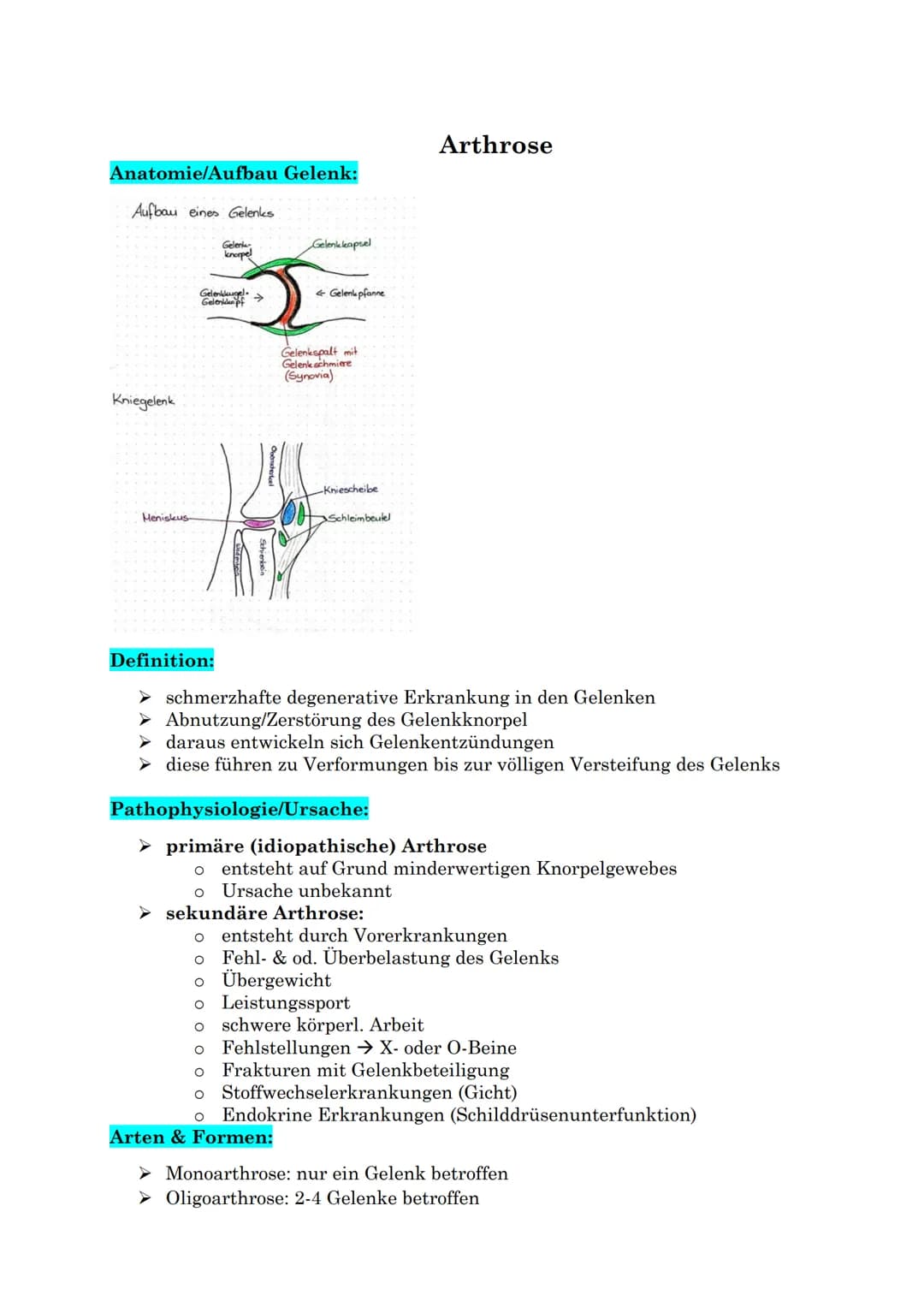 Anatomie/Aufbau Gelenk:
Aufbau eines Gelenks
Gelenk-
knorpel
Kniegelenk
Meniskus
Gelenkugel
Gelende f
Definition:
Gelenkkapsel
← Gelenkpfann
