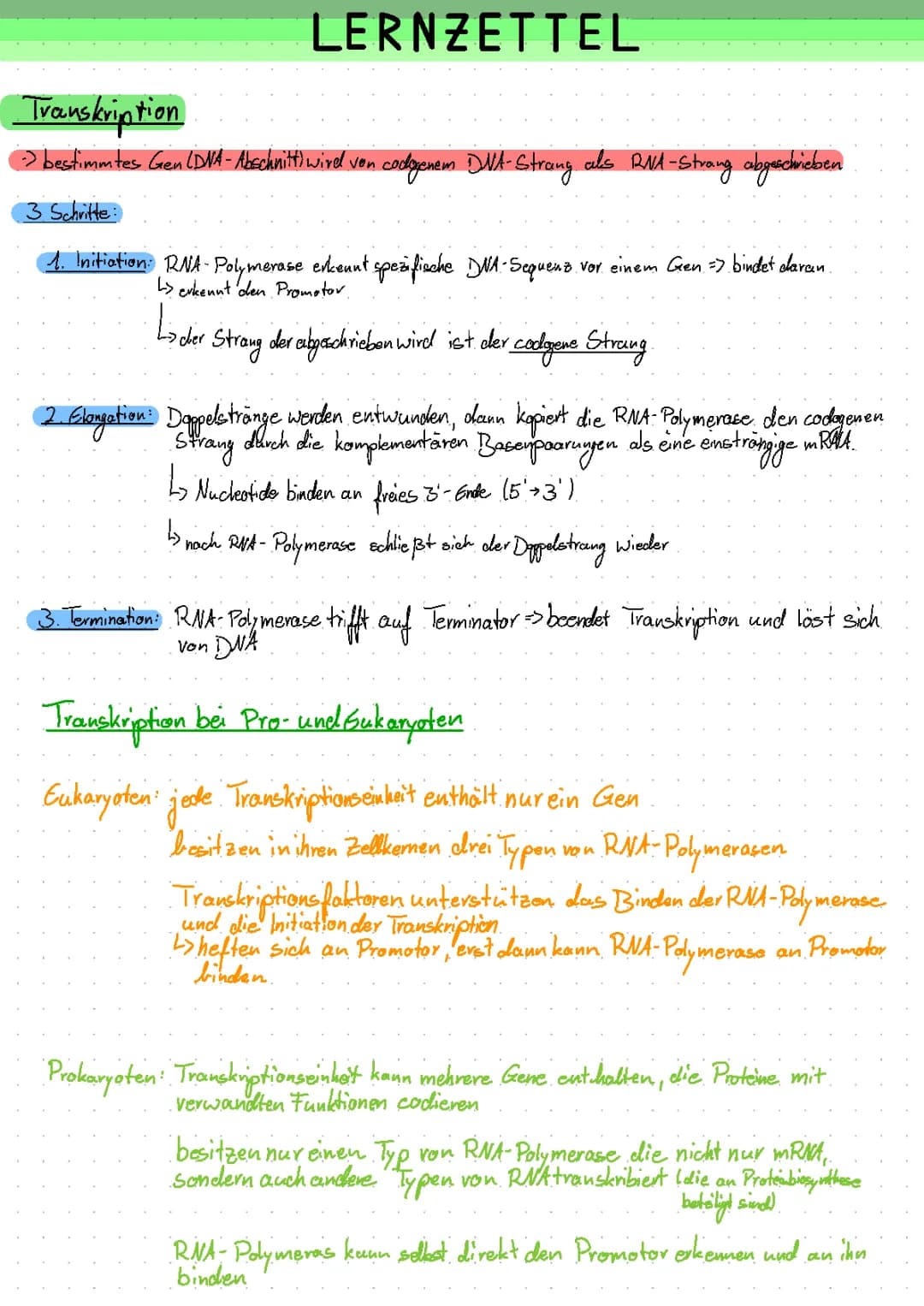 Lernzettel Transkription und Translation