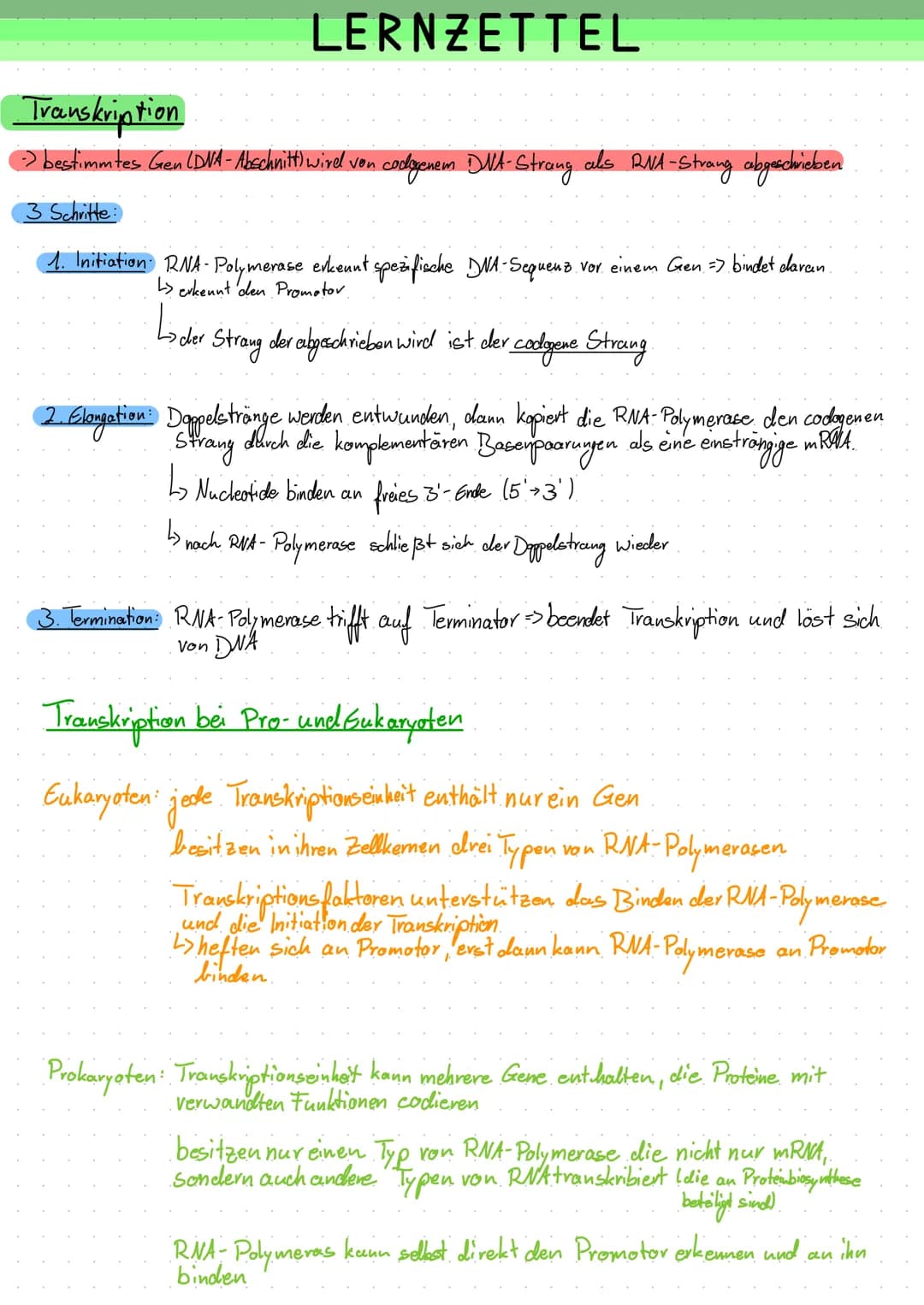 LERNZETTEL
Transkription
·bestimmtes Gen (DVA - Abschnitt) wird von codogenem DNA-Strang als RNA.
3 Schritte:
1. Initiation RNA-Polymerase e
