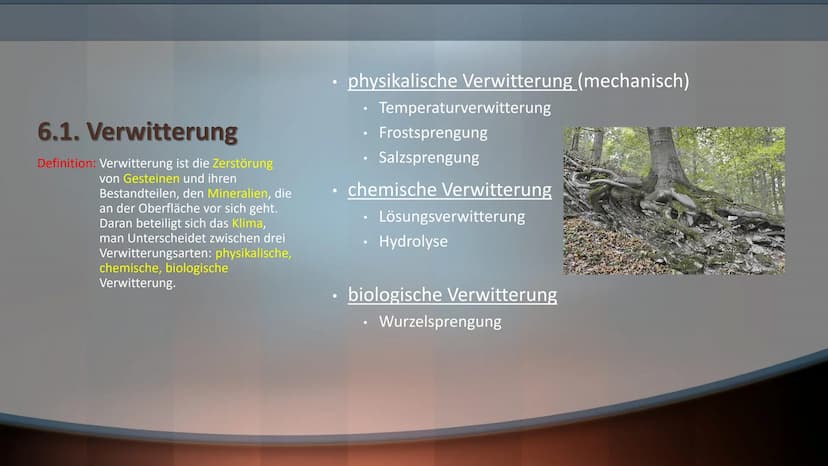 Boden ist Leben Gliederung
1. Übersicht der Bodenbestandteile
Bodenart
2.
3.
4.
5.
6.
Der Humus
Funktion des Bodens
Aufbau des Bodens/Bodenp