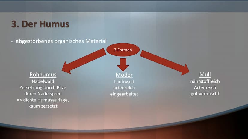 Boden ist Leben Gliederung
1. Übersicht der Bodenbestandteile
Bodenart
2.
3.
4.
5.
6.
Der Humus
Funktion des Bodens
Aufbau des Bodens/Bodenp