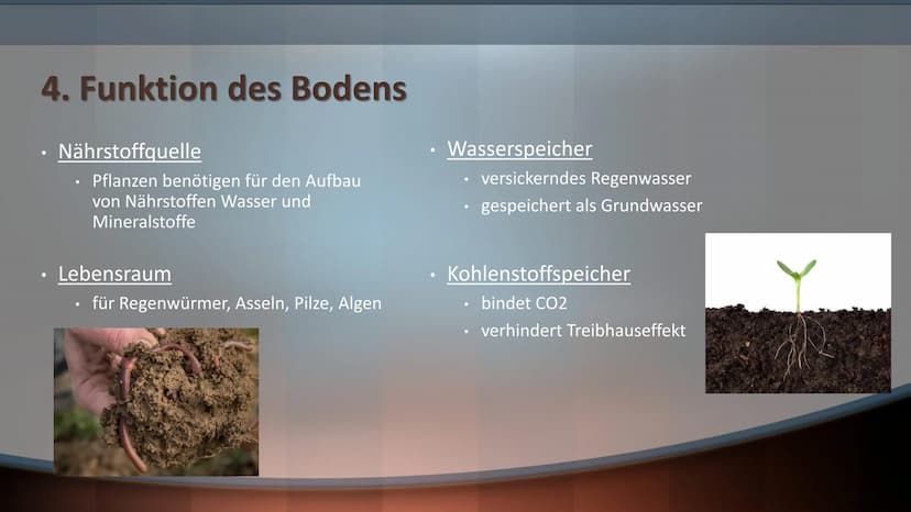Boden ist Leben Gliederung
1. Übersicht der Bodenbestandteile
Bodenart
2.
3.
4.
5.
6.
Der Humus
Funktion des Bodens
Aufbau des Bodens/Bodenp