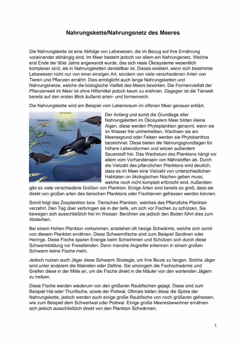 Ökosystem Meer
Von Indira, Marika, Maria NAHRUNGSKETTE
NAHRUNGSNETZ
Im Meer
Maria Wiese NAHRUNGSNETZ
&NAHRUNGSKETTE
Im Meer
Nahrungskette is