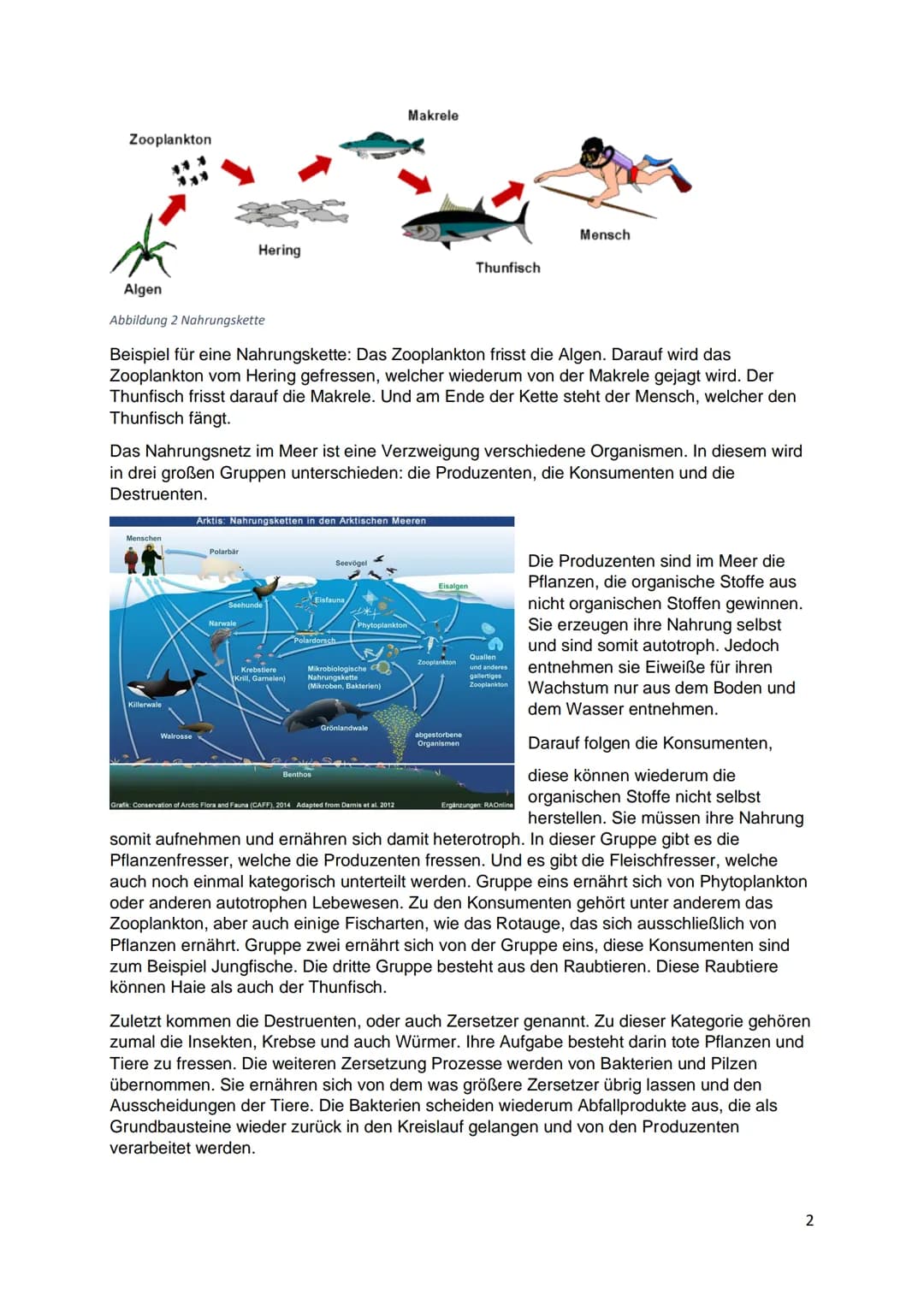 Ökosystem Meer
Von Indira, Marika, Maria NAHRUNGSKETTE
NAHRUNGSNETZ
Im Meer
Maria Wiese NAHRUNGSNETZ
&NAHRUNGSKETTE
Im Meer
Nahrungskette is