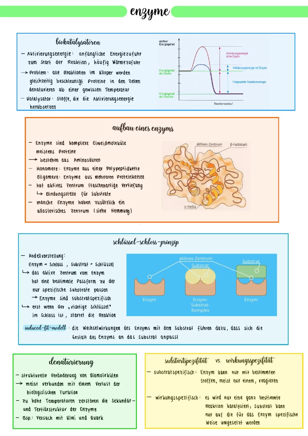 Enzyme 