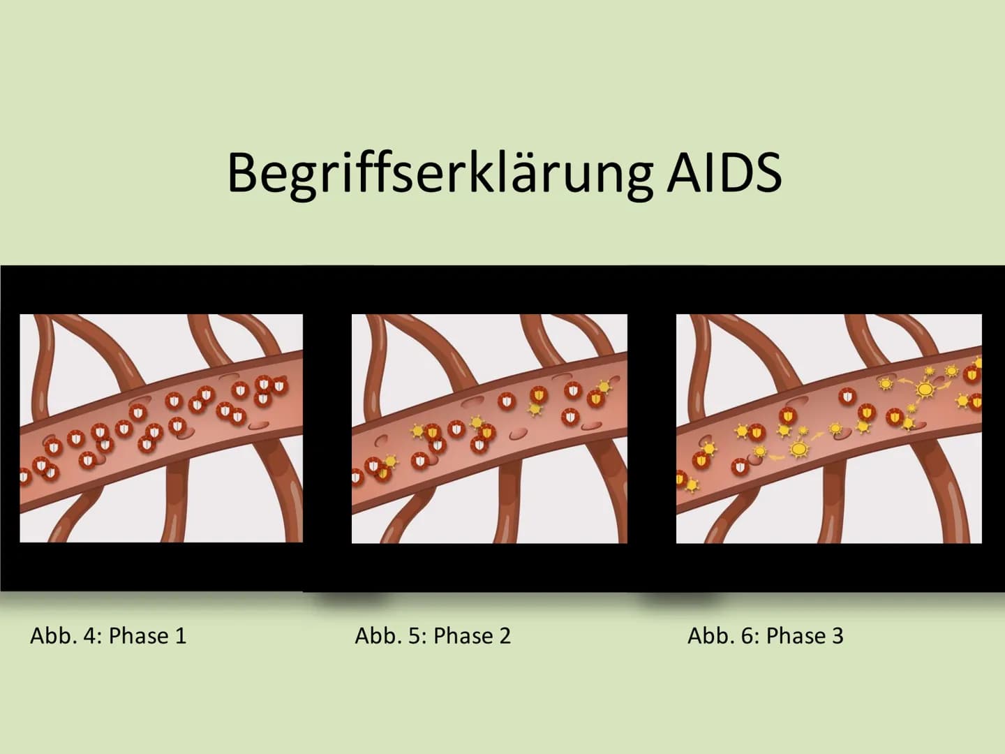 IGS
Vier Tore
Integrierte Gesamtschule "Vier Tore" Neubrandenburg
Ganztagsschule
Europaschule
Name: Serxho Camcja
Klasse: 10G1
Fach: Biologi