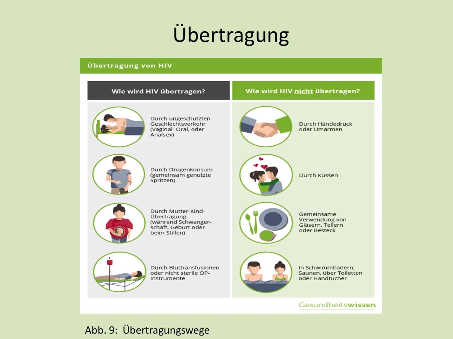 IGS
Vier Tore
Integrierte Gesamtschule "Vier Tore" Neubrandenburg
Ganztagsschule
Europaschule
Name: Serxho Camcja
Klasse: 10G1
Fach: Biologi