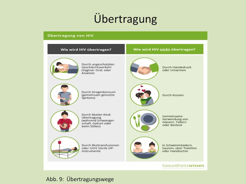 IGS
Vier Tore
Integrierte Gesamtschule "Vier Tore" Neubrandenburg
Ganztagsschule
Europaschule
Name: Serxho Camcja
Klasse: 10G1
Fach: Biologi