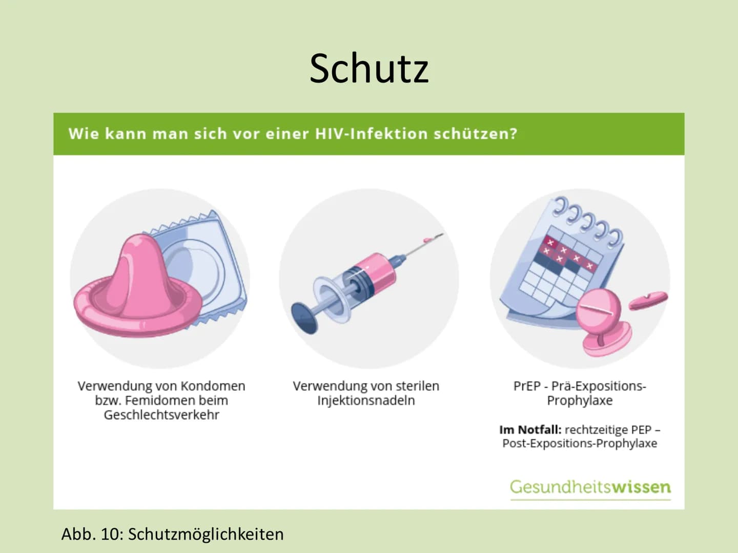 IGS
Vier Tore
Integrierte Gesamtschule "Vier Tore" Neubrandenburg
Ganztagsschule
Europaschule
Name: Serxho Camcja
Klasse: 10G1
Fach: Biologi