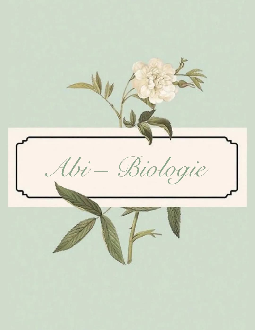 Bio Abitur Zellbiologie