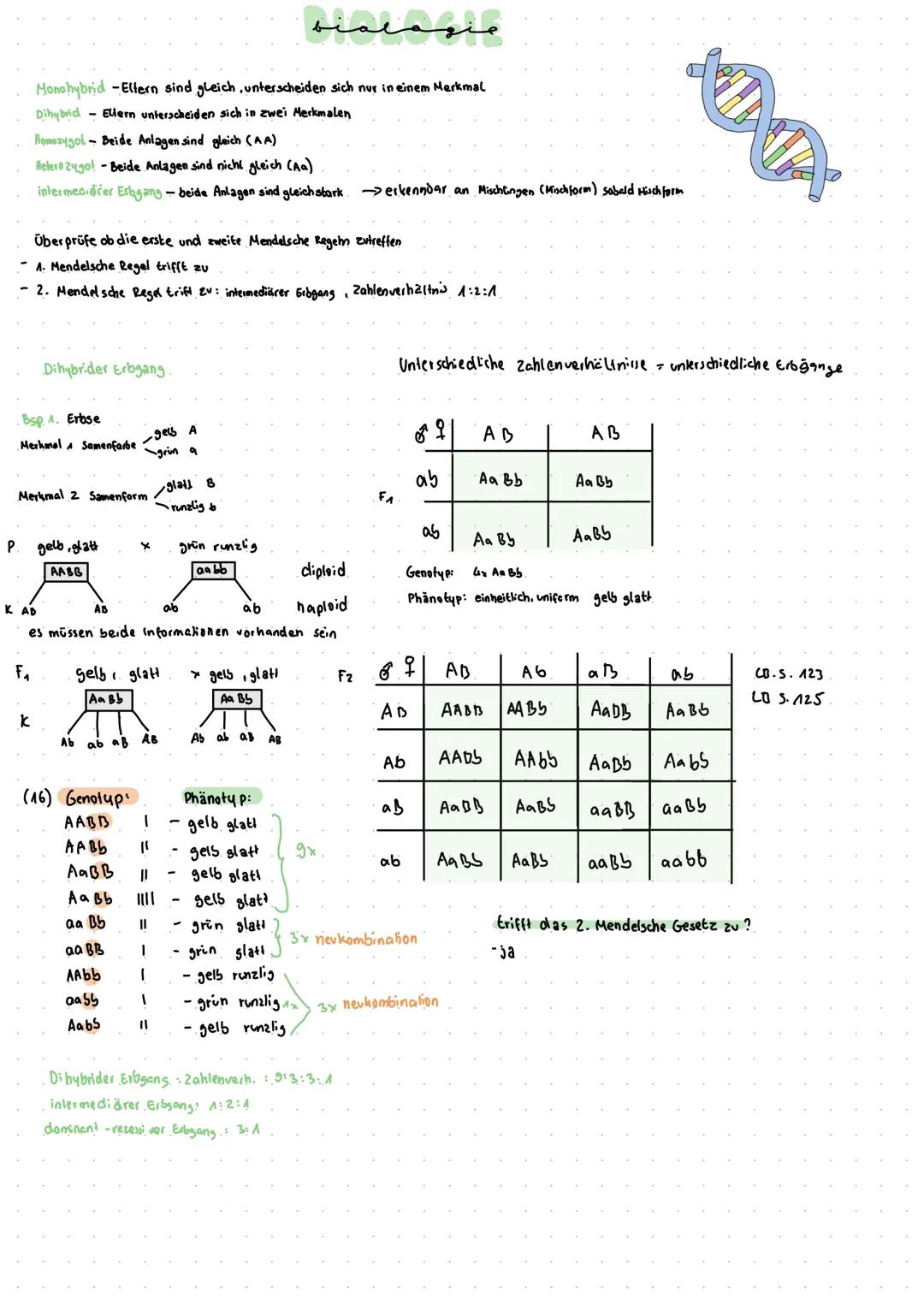 # biologie

uniforon
reinerbig
-F-Generation
F2-Generation
Hybride
Genotyp
Phänotyp
P-Generation
mischerbig
dominani
rezessiv

- einheitlich