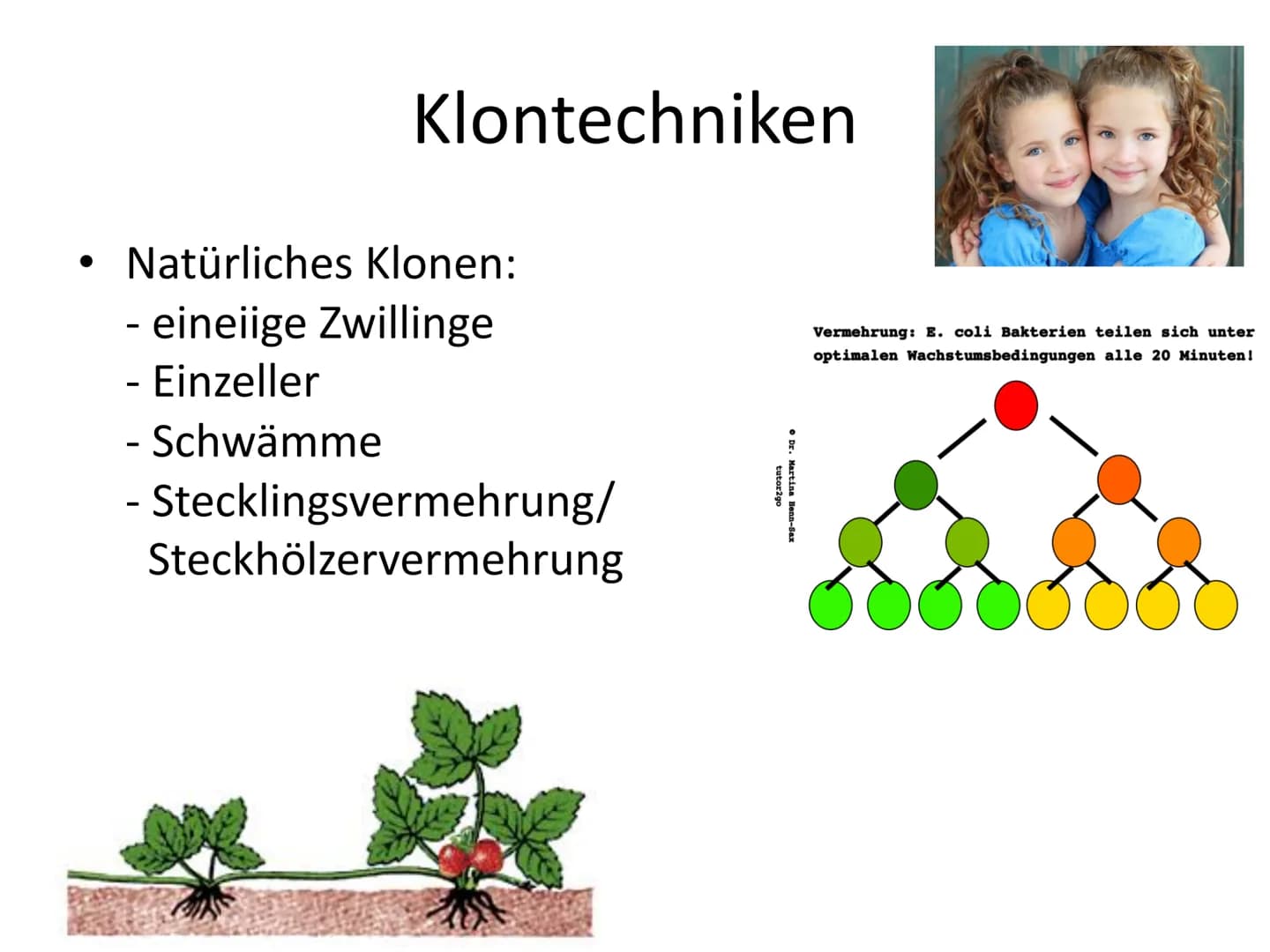 Menschliches Klonen
Frankensteins Traum wird wahr
Aus normalen Körperzellen können Forscher nun die Kopie
eines Menschen herstellen. Darf da