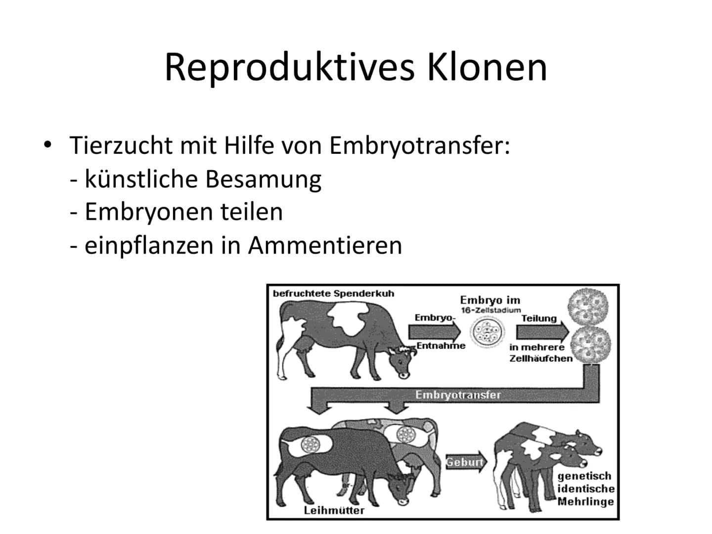 Menschliches Klonen
Frankensteins Traum wird wahr
Aus normalen Körperzellen können Forscher nun die Kopie
eines Menschen herstellen. Darf da