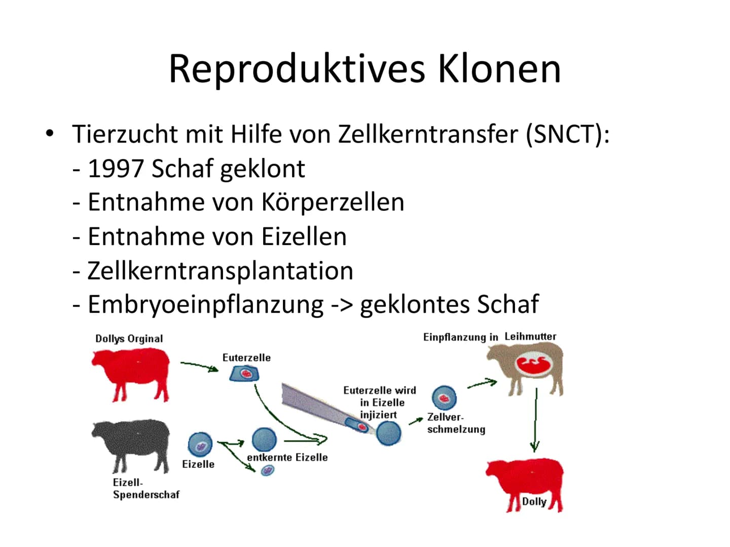 Menschliches Klonen
Frankensteins Traum wird wahr
Aus normalen Körperzellen können Forscher nun die Kopie
eines Menschen herstellen. Darf da