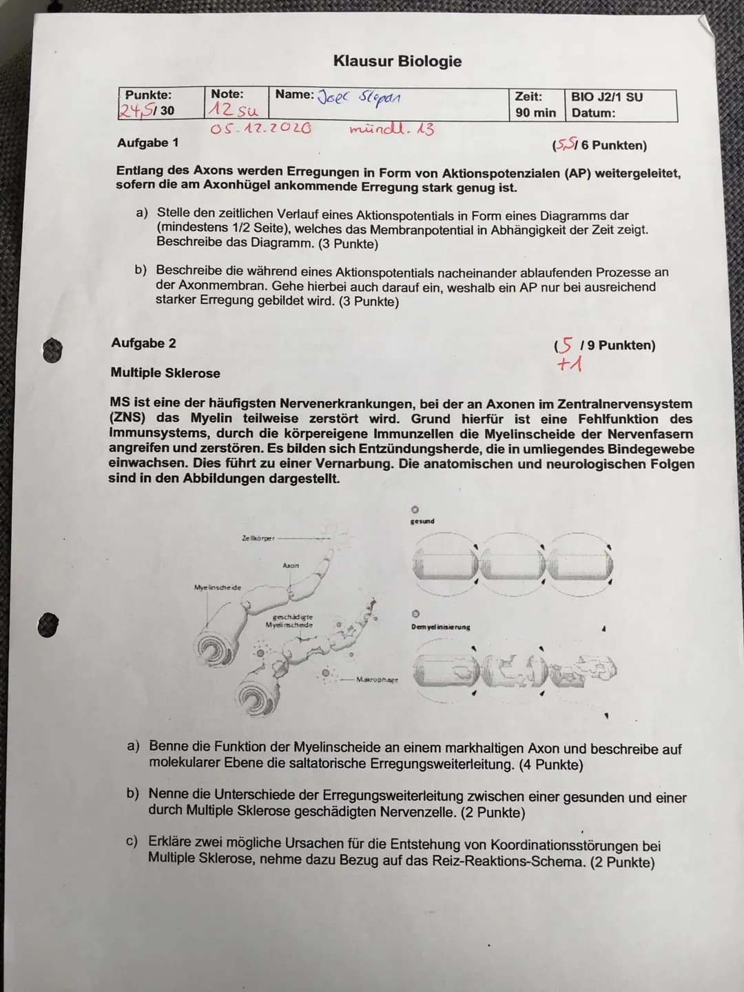 Punkte:
24,5130
Note:
12 su
05.12.2020
Name: Joe Stepan
Klausur Biologie
Myelinscheide
Aufgabe 1
(5.516 Punkten)
Entlang des Axons werden Er