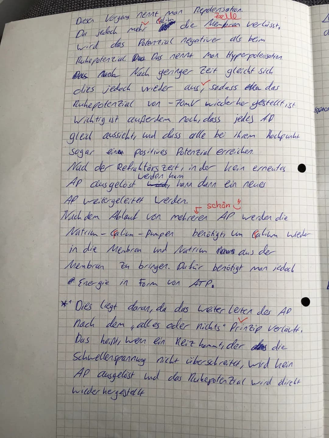 Punkte:
24,5130
Note:
12 su
05.12.2020
Name: Joe Stepan
Klausur Biologie
Myelinscheide
Aufgabe 1
(5.516 Punkten)
Entlang des Axons werden Er