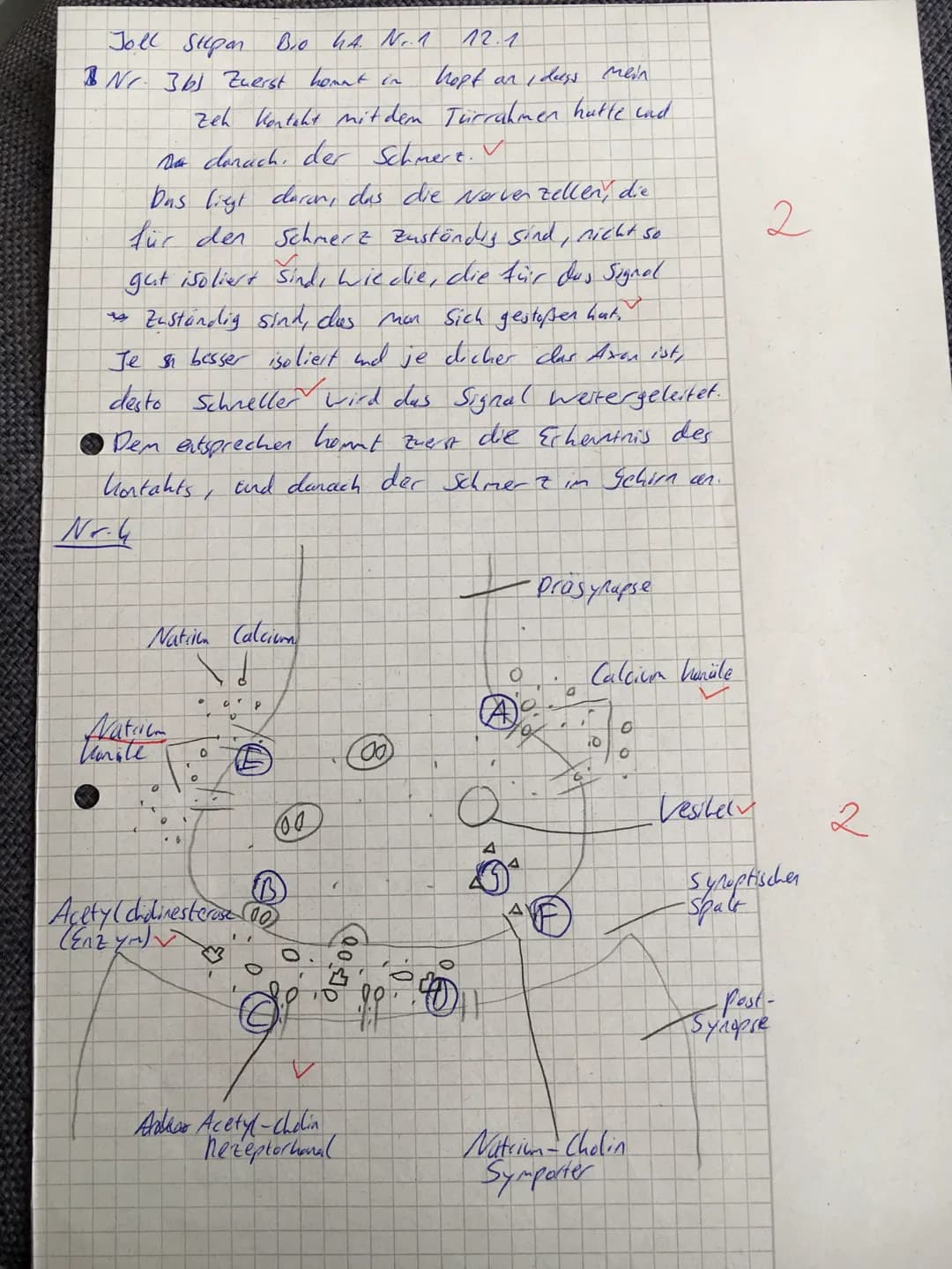 Punkte:
24,5130
Note:
12 su
05.12.2020
Name: Joe Stepan
Klausur Biologie
Myelinscheide
Aufgabe 1
(5.516 Punkten)
Entlang des Axons werden Er