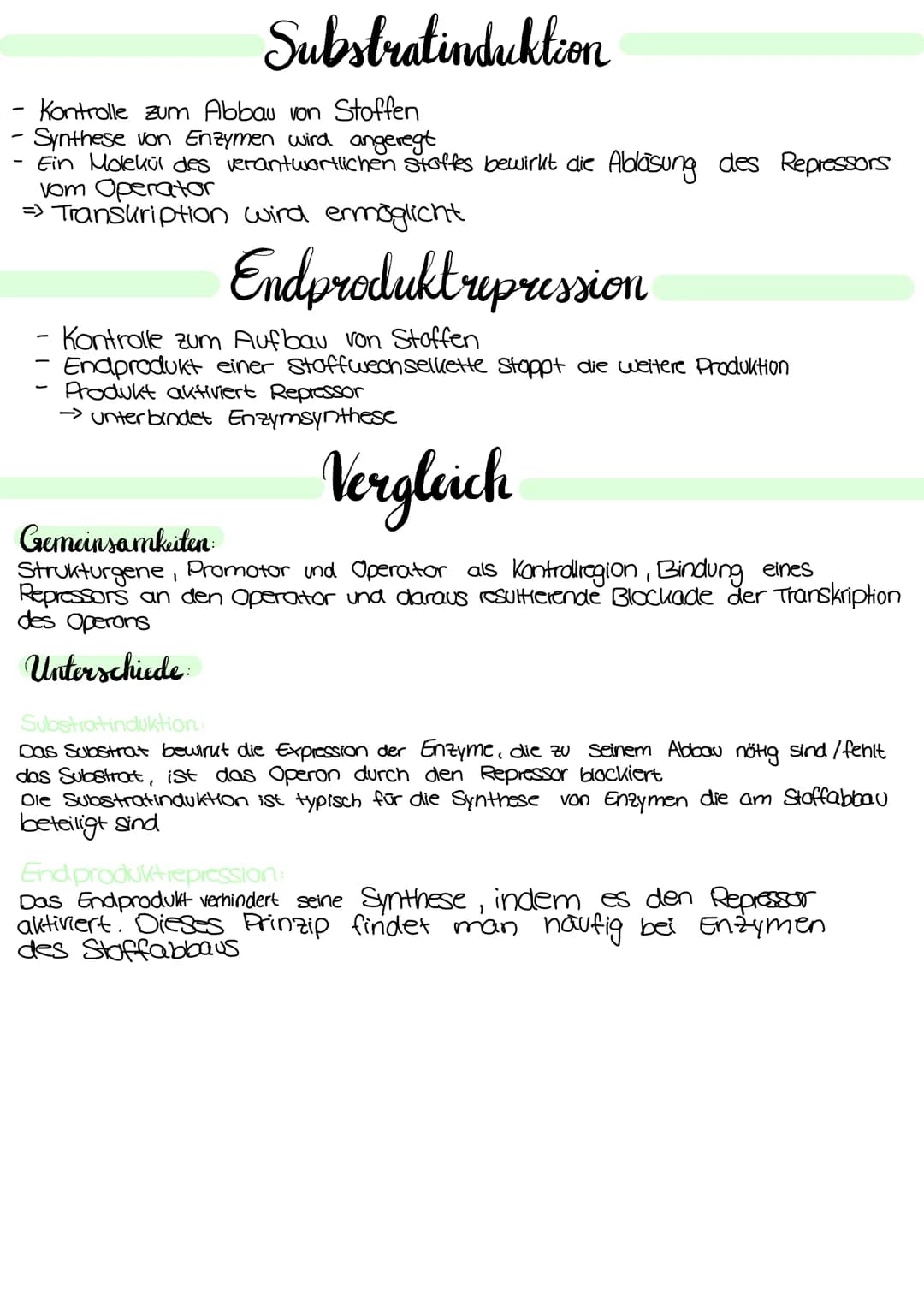 Genetik Regulation der Grenaktivität bei Prokarionten
Operon
Regulatorgen
Transkription
mRNA
Translation
Regulatorgen:
- ein Gen
Promotor Op