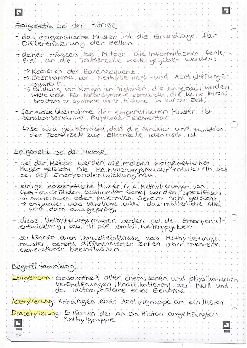 Genregulation bei Prokaryoten
Begriffsammlung.
Operon: Funktionseinheit aus Promotor, operator und
Strukturgenen
Promotor: Anlagerungsstelle