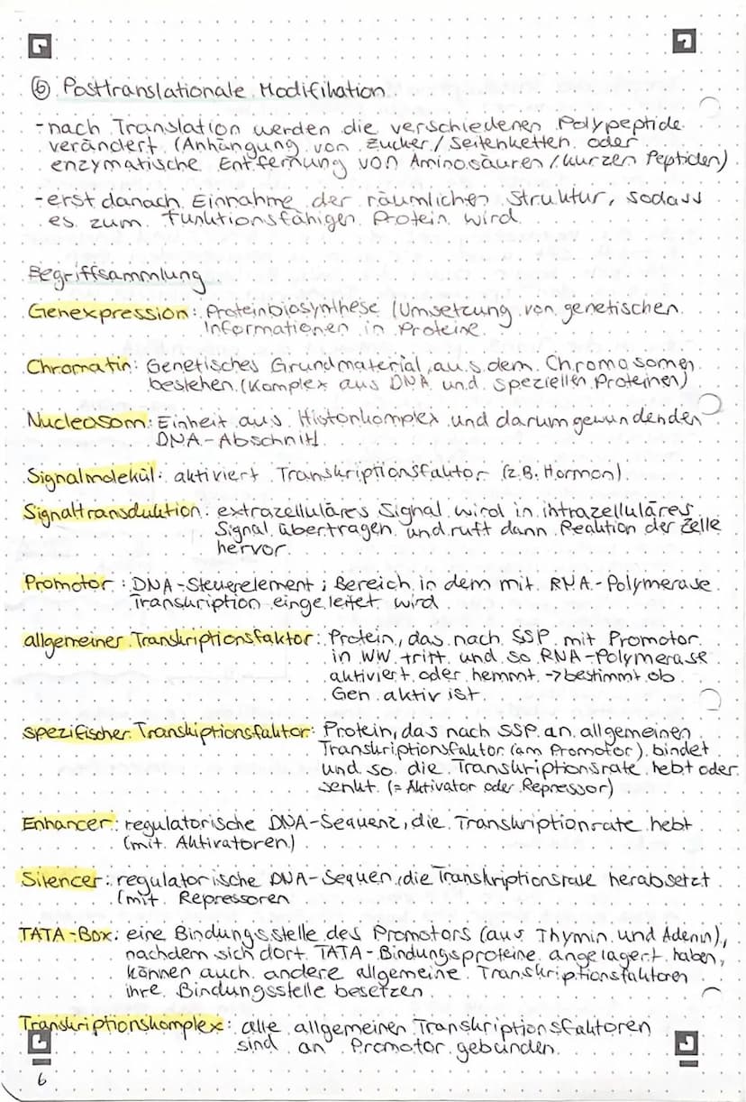 Genregulation bei Prokaryoten
Begriffsammlung.
Operon: Funktionseinheit aus Promotor, operator und
Strukturgenen
Promotor: Anlagerungsstelle