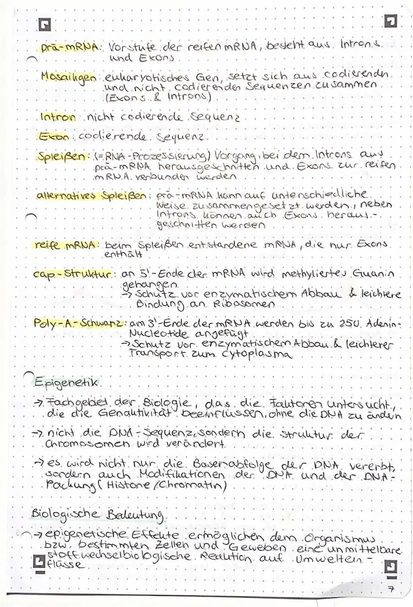 Genregulation bei Prokaryoten
Begriffsammlung.
Operon: Funktionseinheit aus Promotor, operator und
Strukturgenen
Promotor: Anlagerungsstelle