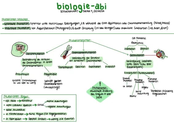 Know Mutationen (Genmutationen, Chromosomenmutationen, Genommuationen) thumbnail