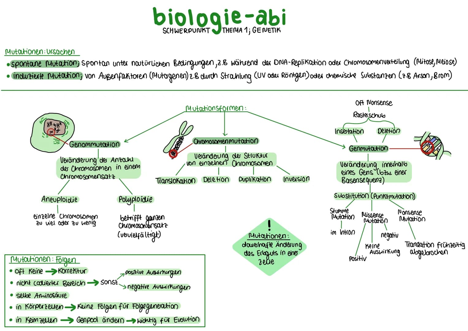 biologie-abi
Mutationen: Ursachen
• spontane Mutation; Spontan unter nostürlichen Bedingungen, 2.B während der DNA-Replikation oder Chromoso