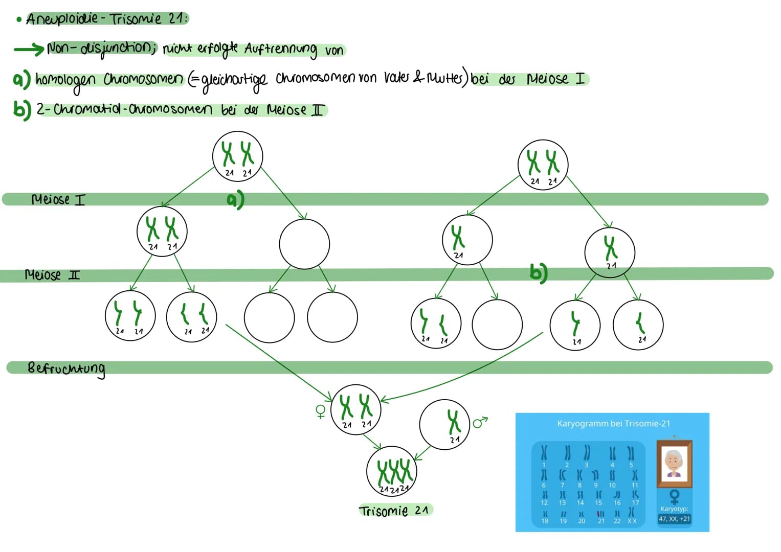 biologie-abi
Mutationen: Ursachen
• spontane Mutation; Spontan unter nostürlichen Bedingungen, 2.B während der DNA-Replikation oder Chromoso