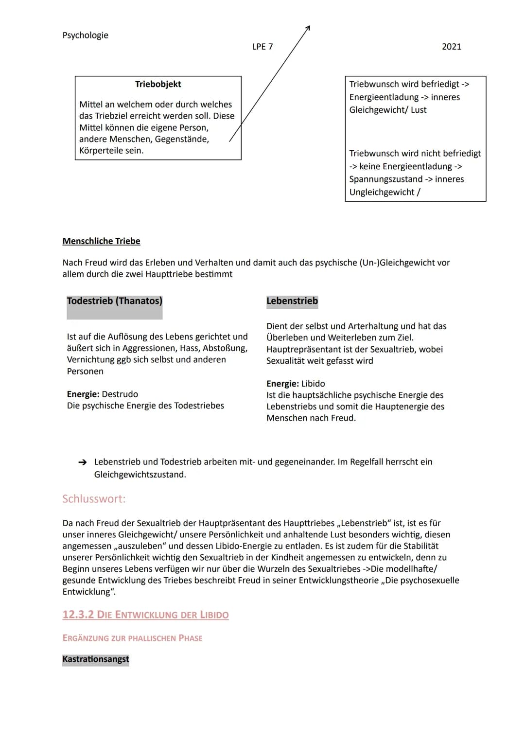 Psychologie
12.1 DIE GRUNDANNAHMEN DER PSYCHOANALYTISCHEN THEORIE
Die Psychoanalyse ist eine Hauptströmung der Psychologie, mit dem Vertrete