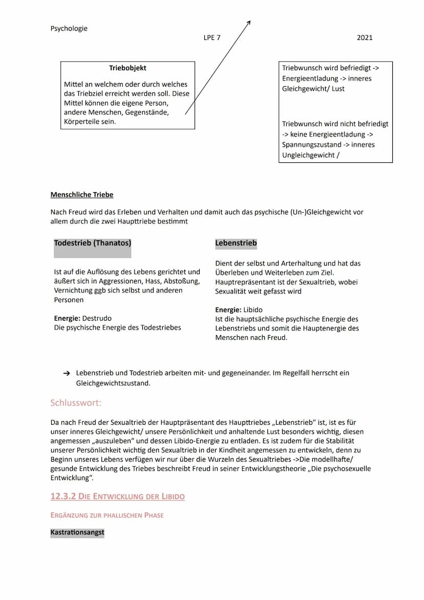 Psychologie
12.1 DIE GRUNDANNAHMEN DER PSYCHOANALYTISCHEN THEORIE
Die Psychoanalyse ist eine Hauptströmung der Psychologie, mit dem Vertrete