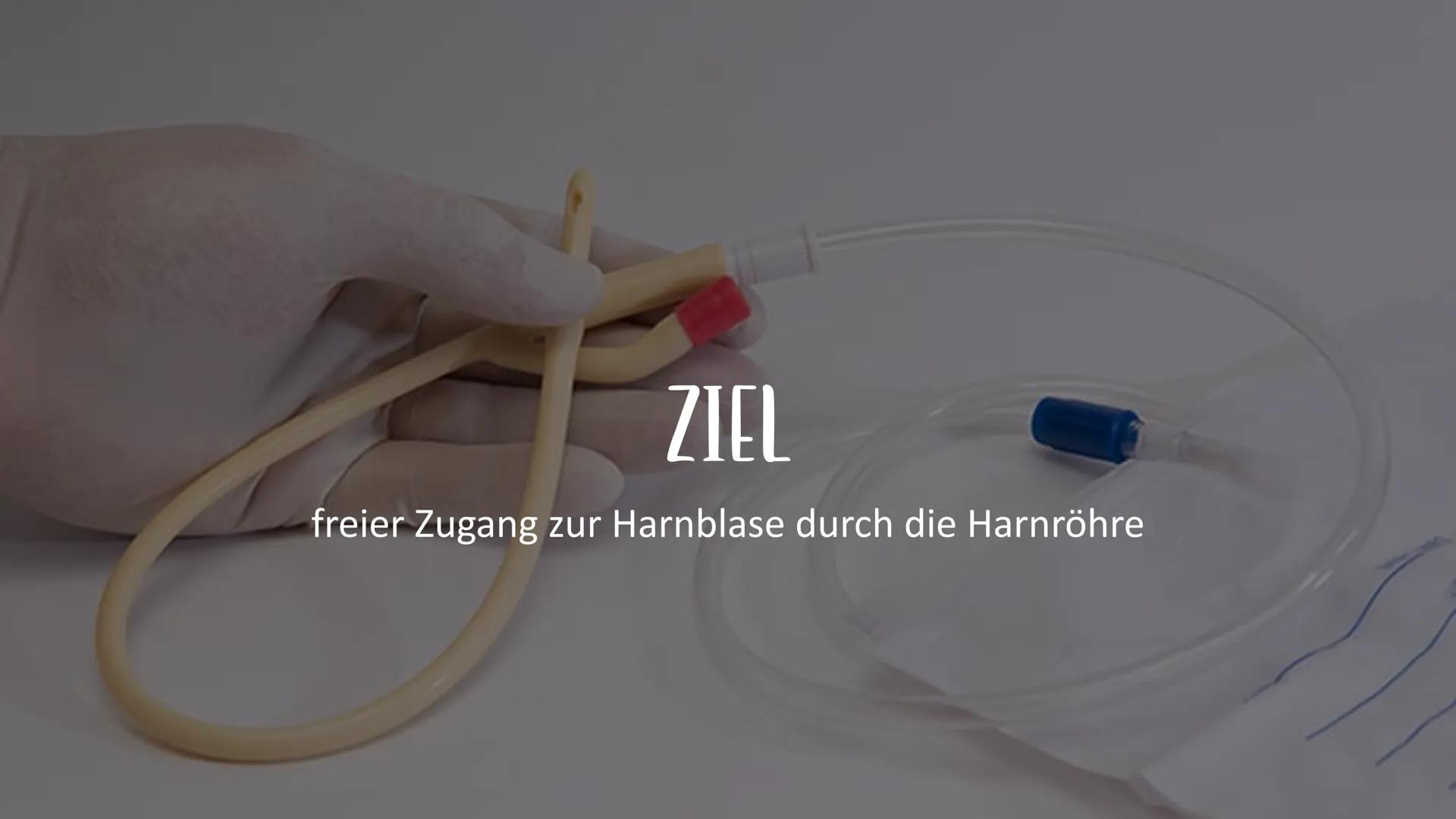 GOY
KATHETERISMUS ZIEL
freier Zugang zur Harnblase durch die Harnröhre diagnostisch
Uringewinnung
Laborproben
INDIKATIONEN
Überwachung
Menge