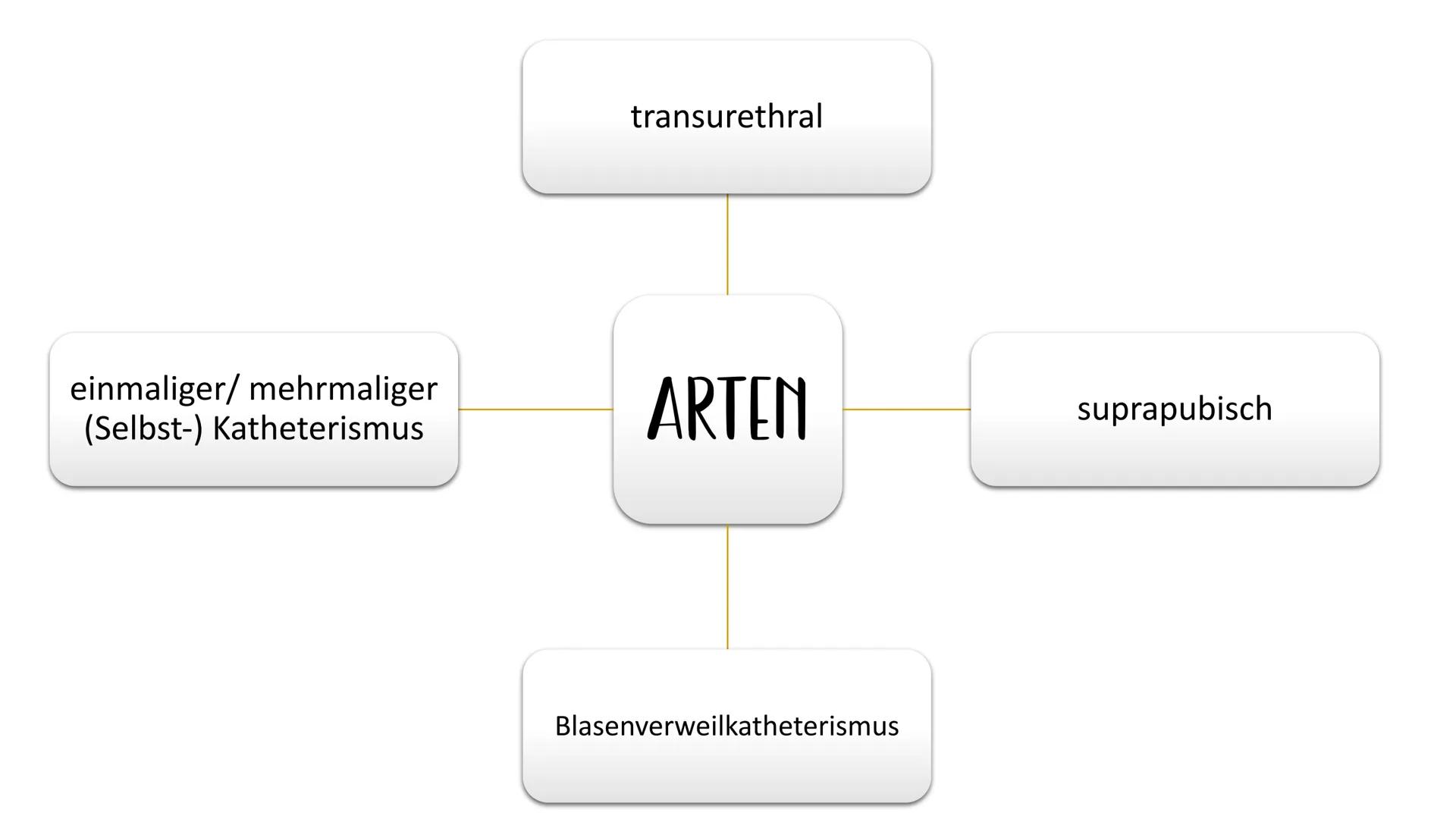 GOY
KATHETERISMUS ZIEL
freier Zugang zur Harnblase durch die Harnröhre diagnostisch
Uringewinnung
Laborproben
INDIKATIONEN
Überwachung
Menge