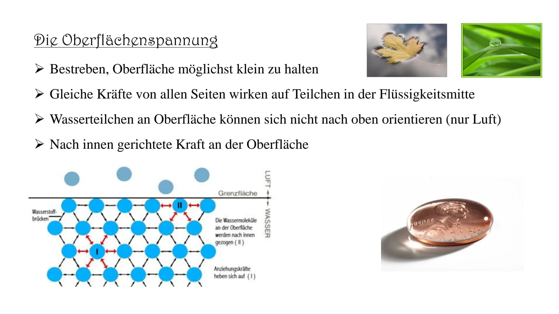 Die Anomalie des Wassers
Warum siedet Wasser erst bei 100°C?
Warum kann ein Blatt auf dem Wasser liegen?
Warum geht die Eisplatte auf dem Se