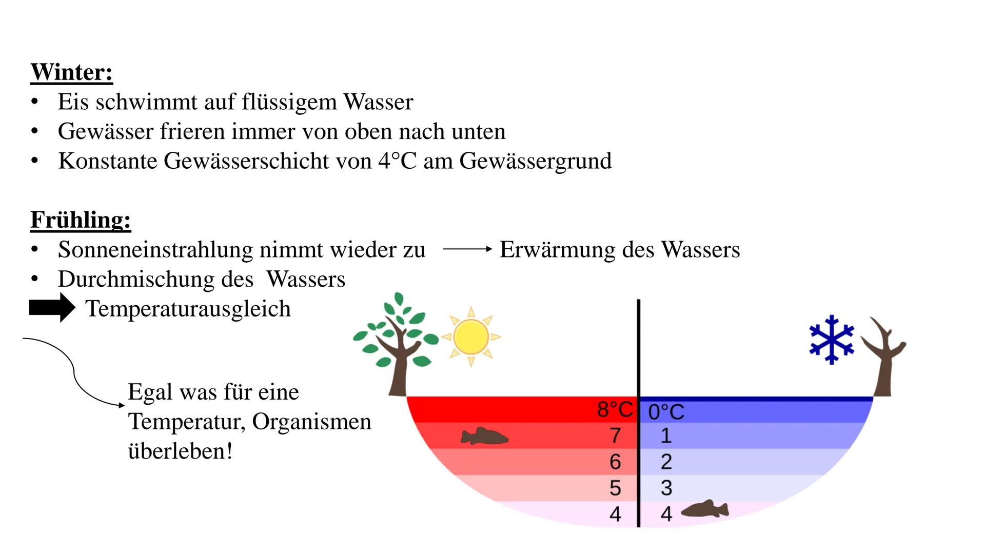 Die Anomalie des Wassers
Warum siedet Wasser erst bei 100°C?
Warum kann ein Blatt auf dem Wasser liegen?
Warum geht die Eisplatte auf dem Se