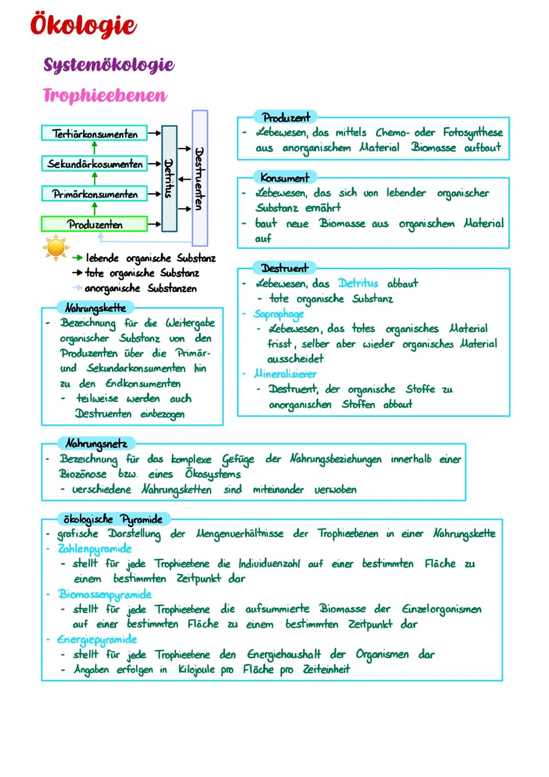 Ökologie
Systemökologie
Trophieebenen
Tertiärkonsumenten
Sekundārkosumenten
Primärkonsumenten
-
Produzenten
Detritus
↑ ↓
Nahrungskette
Bezei