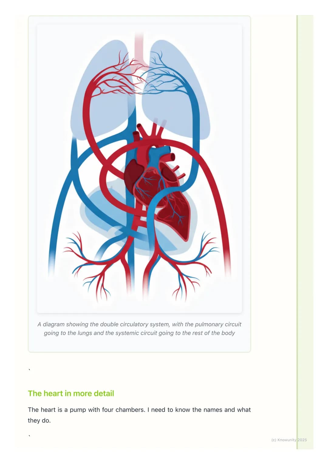 # Circulatory System

What is the circulatory system?

The circulatory system is like the body's transport network. Its main job is to
move 
