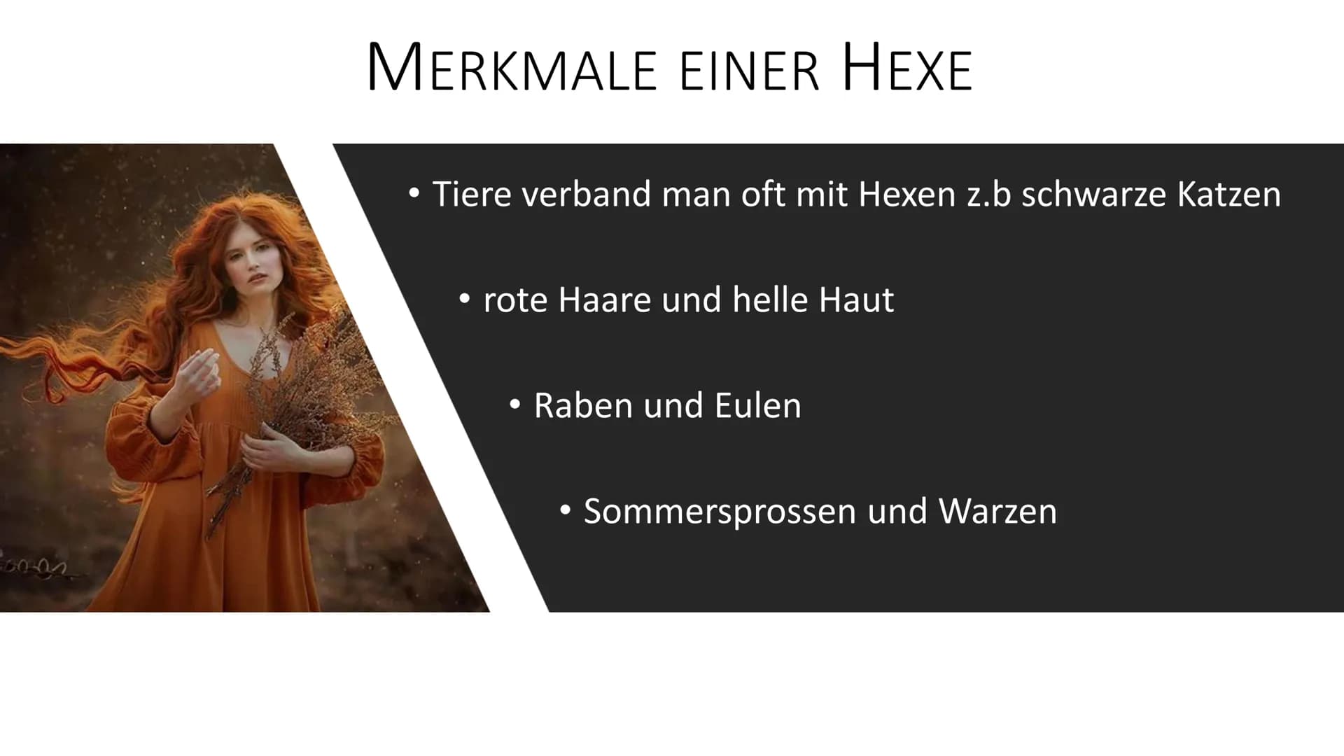 DIE ZEIT DER HEXENVERFOLGUNG
Sehr geehrte Frau/Herr Professor, Liebe Mitschüler ich/wir stelle/n euch heute das Thema
Hexenverfolgung im Mit