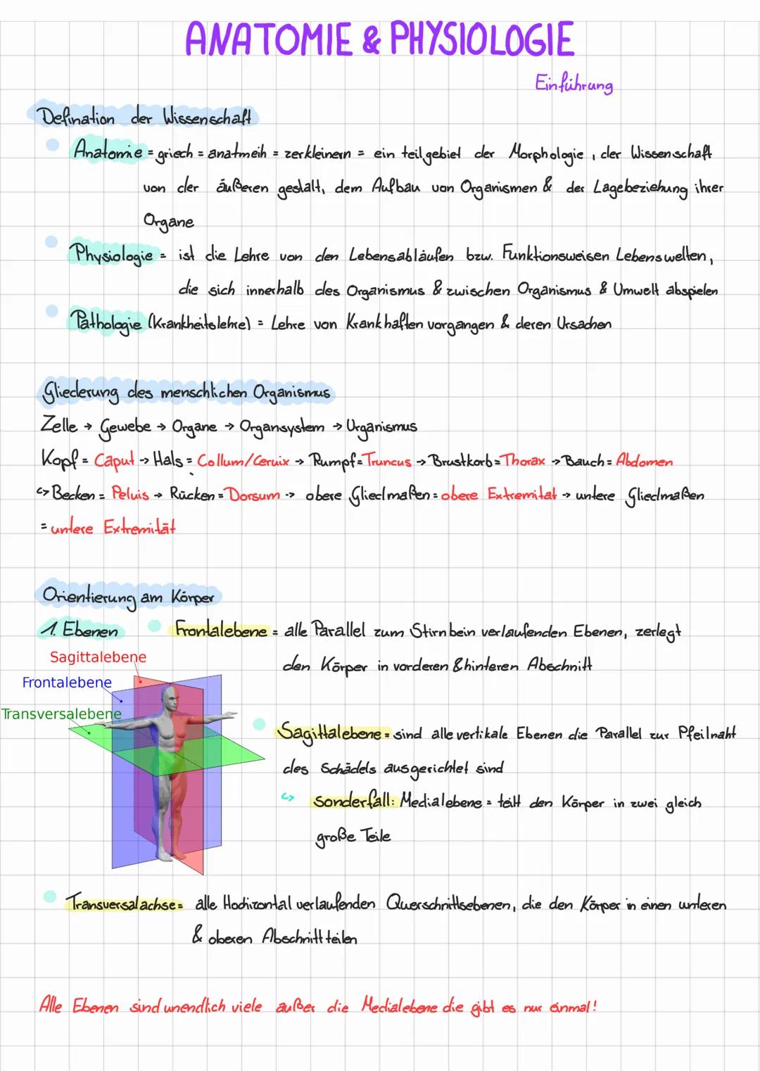 # ANATOMIE & PHYSIOLOGIE

Defination der Wissenschaft

Einführung

*   Anatomie = griech = anatmeih = zerkleinern = ein teilgebiet der Morph